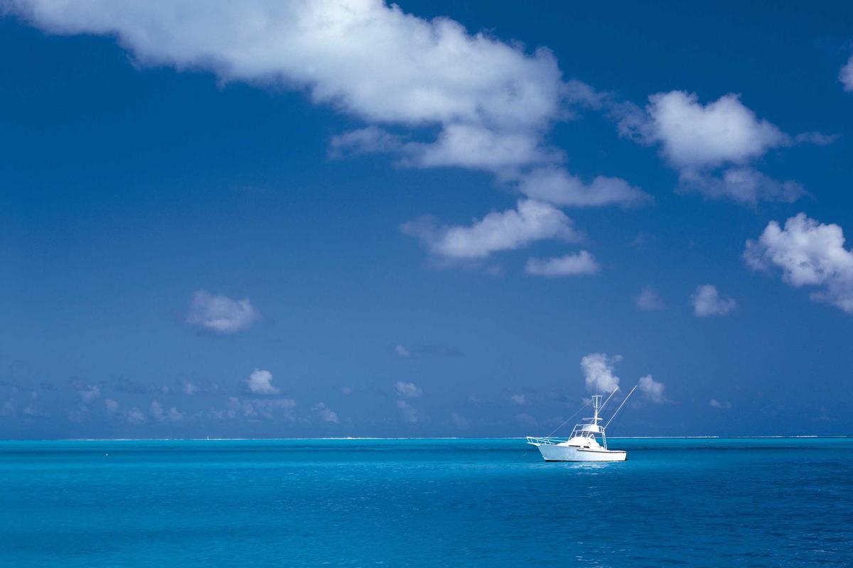 Les ingénieurs révèlent : Comment perdre du poids rapidement (#25)