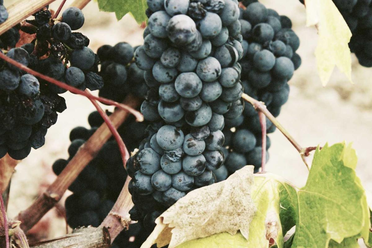 [title] Sed ut perspiciatis unde omnis iste natus error sit (465245)